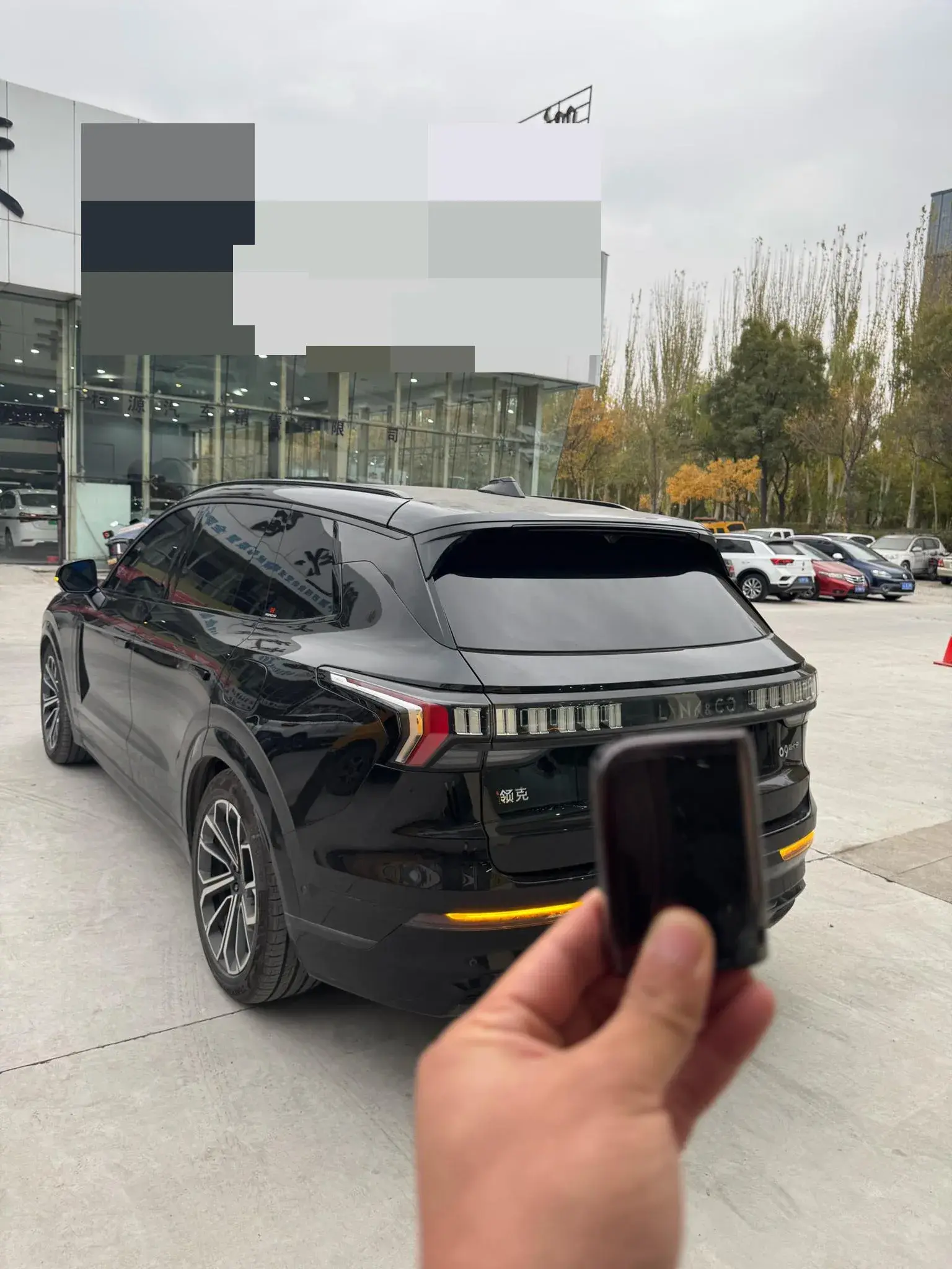 2024 LYNK&CO 09 thumbnail 4