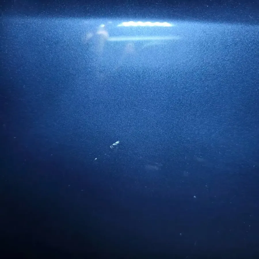 2022 BMW X2 2.0T 192HP L4 7DCT,autocango,china used car exporter,china ev exporter,chinese used car exporter,chinese used ev exporter