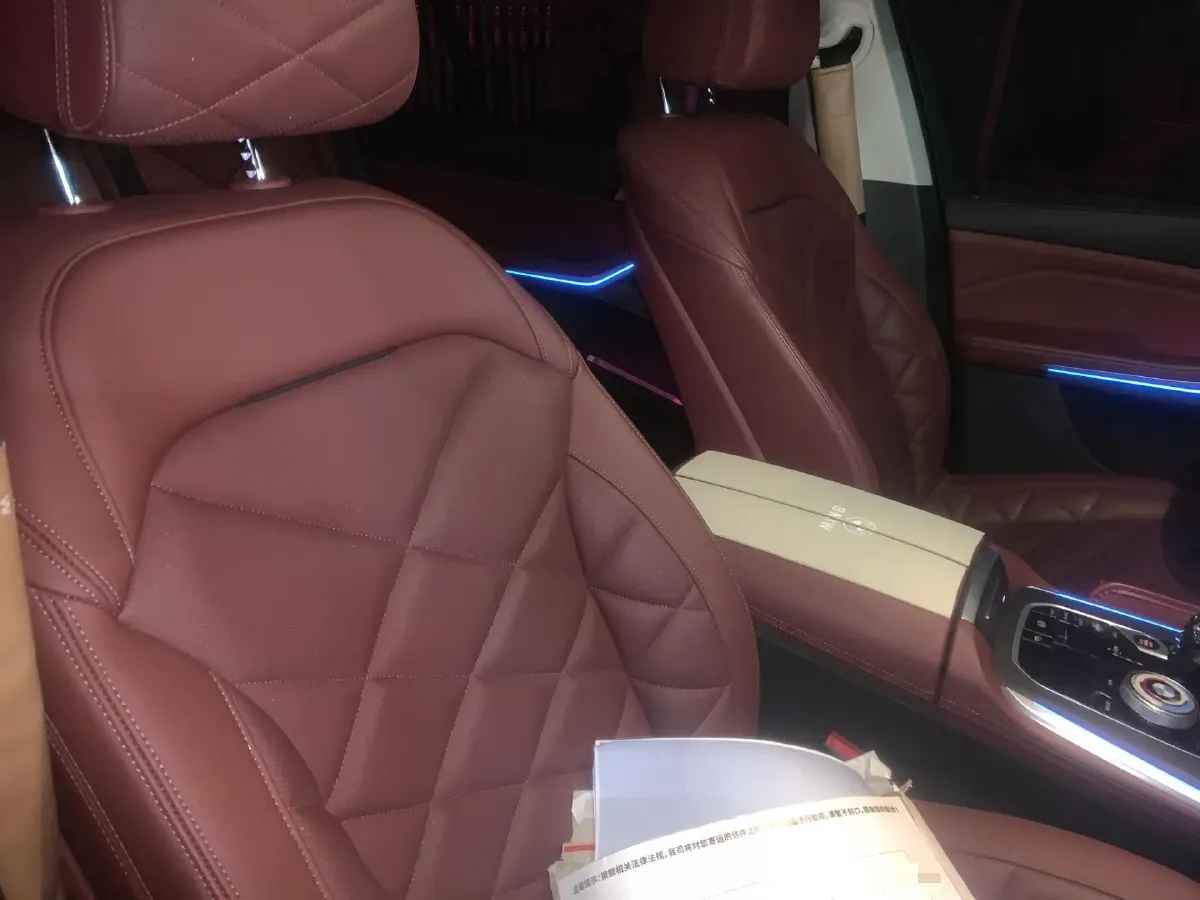 2022 BMW X5 2.0T 245HP L4 8AT,autocango,china used car exporter,china ev exporter,chinese used car exporter,chinese used ev exporter