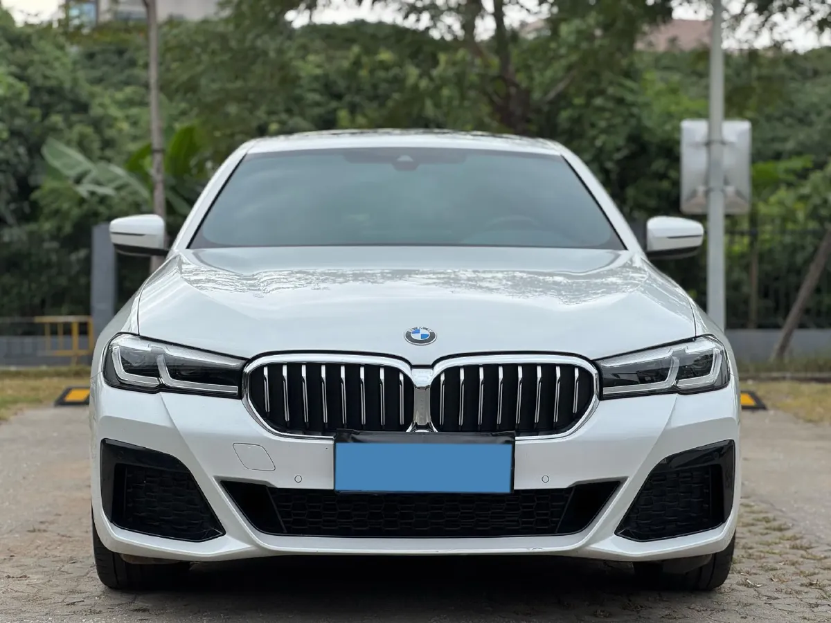 2022 BMW 5 Series 2.0T 184HP L4 8AT,autocango,china used car exporter,china ev exporter,chinese used car exporter,chinese used ev exporter