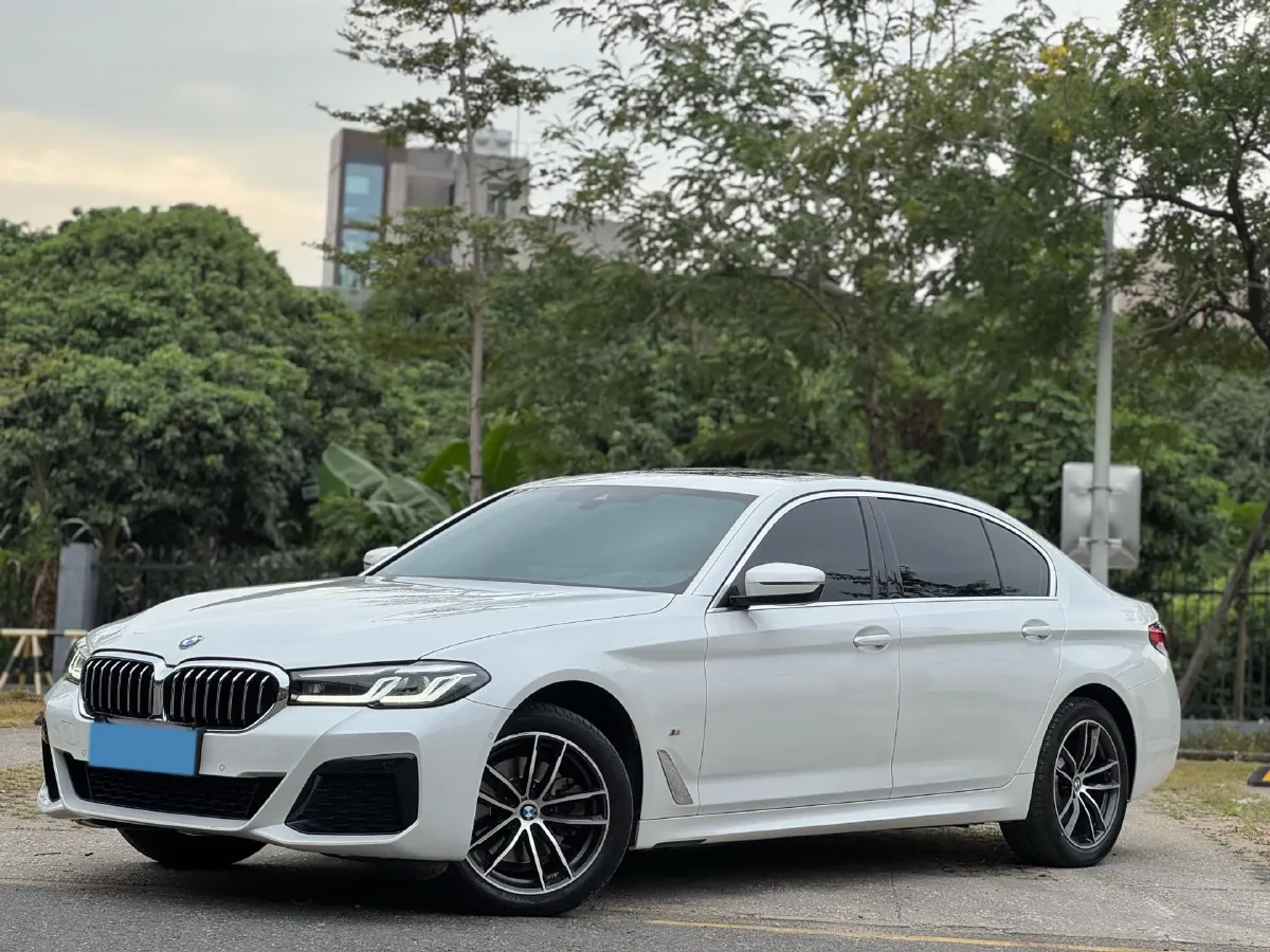 2022 BMW 5 Series 2.0T 184HP L4 8AT,autocango,china used car exporter,china ev exporter,chinese used car exporter,chinese used ev exporter