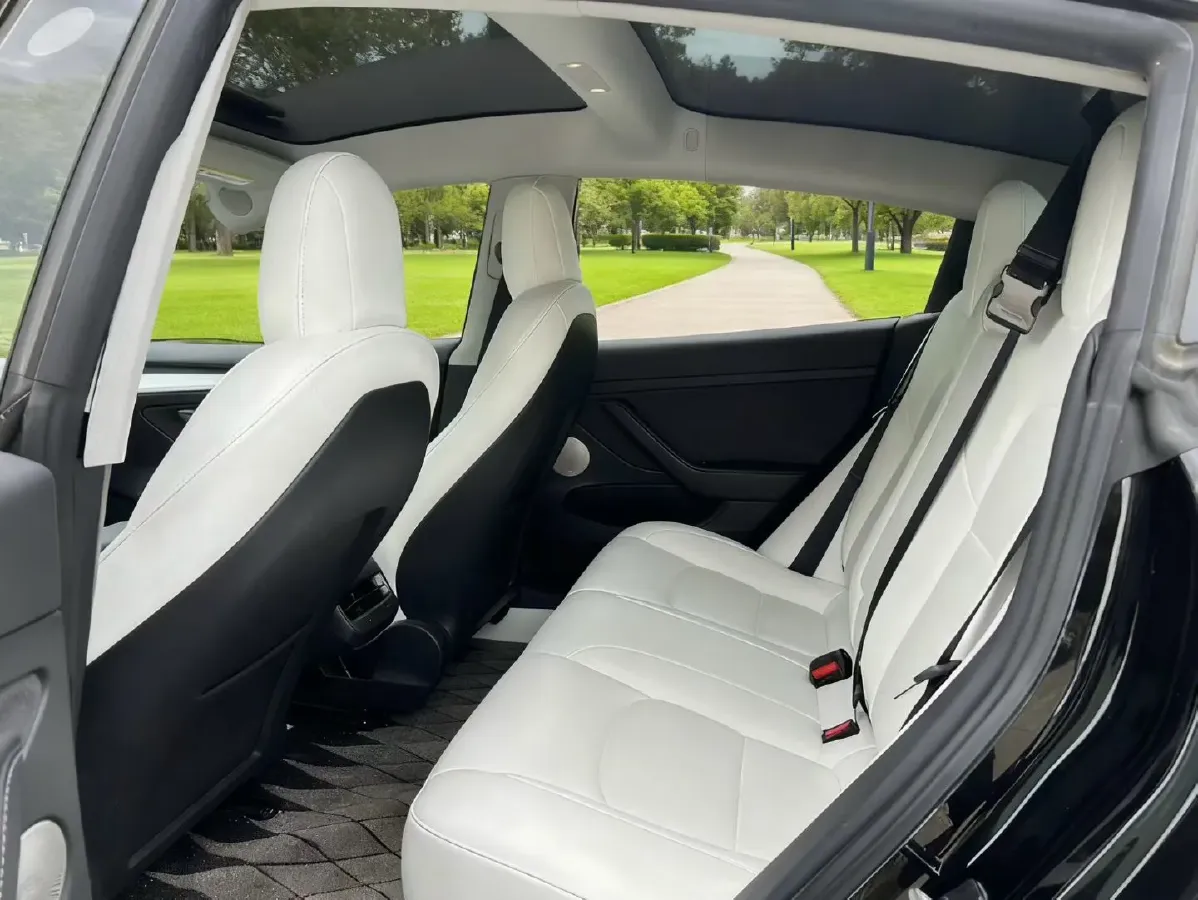 2021 Tesla Model 3 BEV 55KWH,autocango,china used car exporter,china ev exporter,chinese used car exporter,chinese used ev exporter