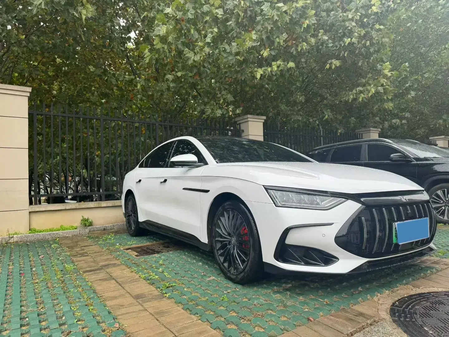 2022 BYD HAN thumbnail 3