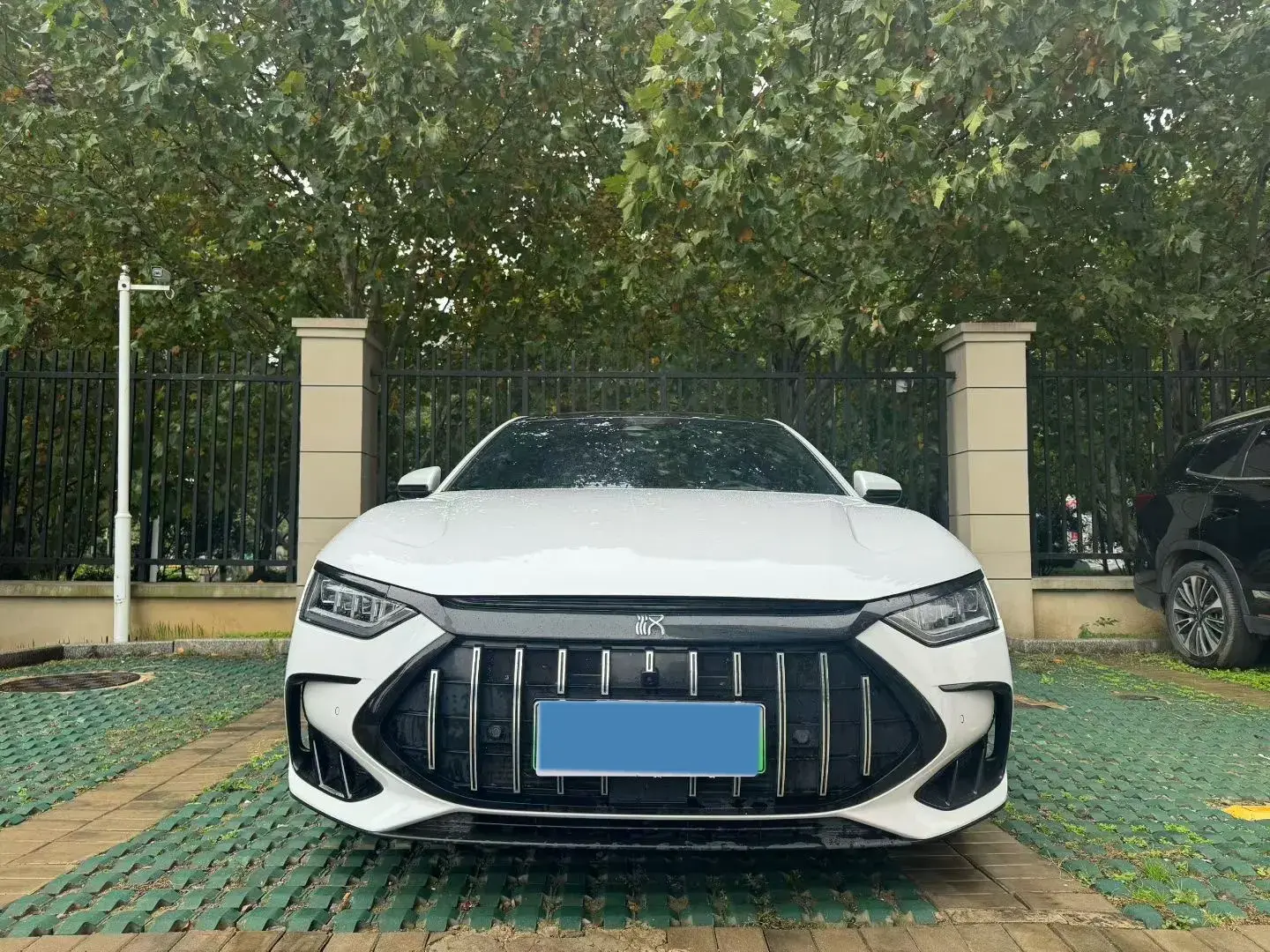 2022 BYD HAN thumbnail 2