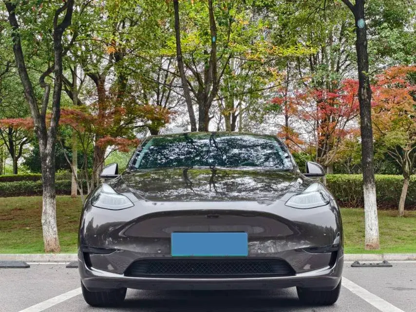 2022 TESLA MODEL thumbnail 2