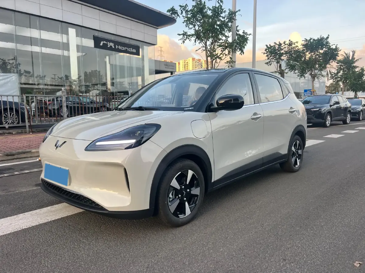 2024 WuLing BinGuoPLUS BEV 50.6KWH