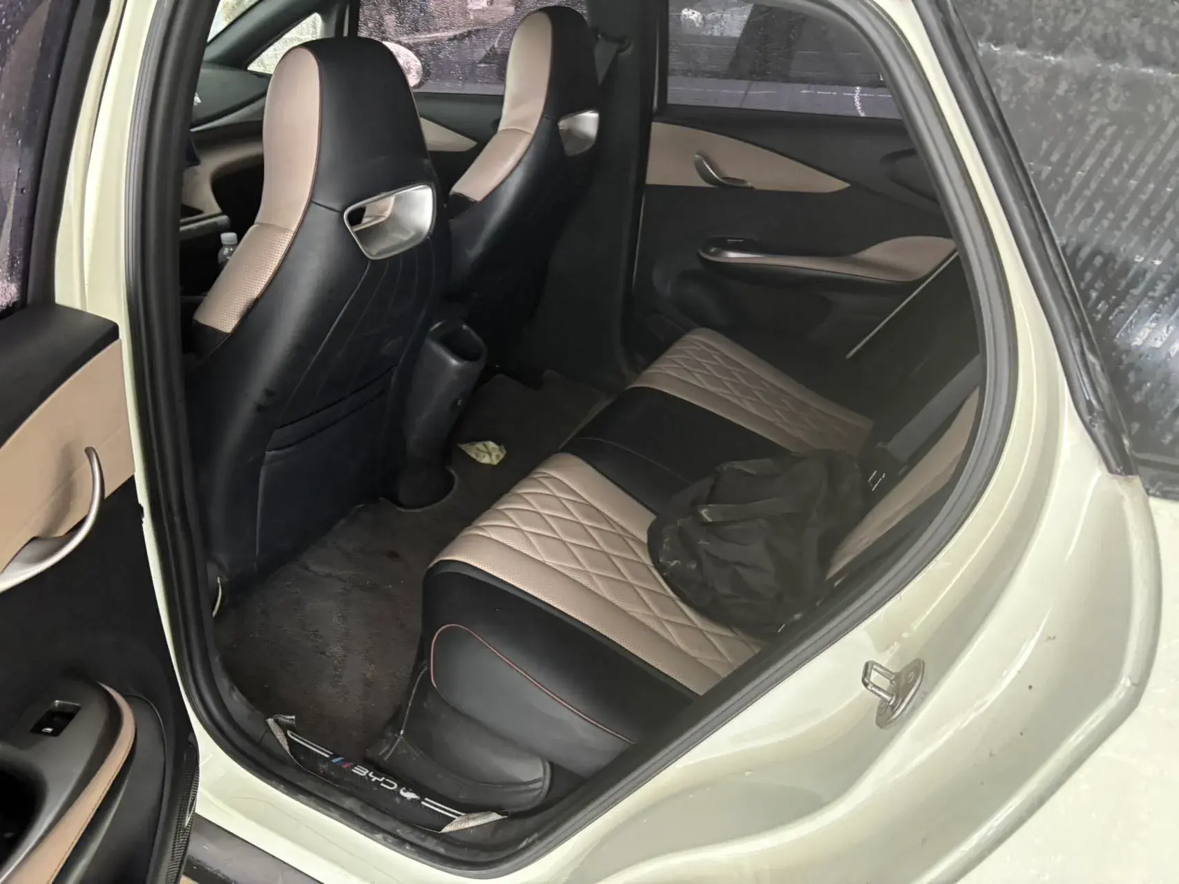 2021 BYD DOLPHIN thumbnail 4