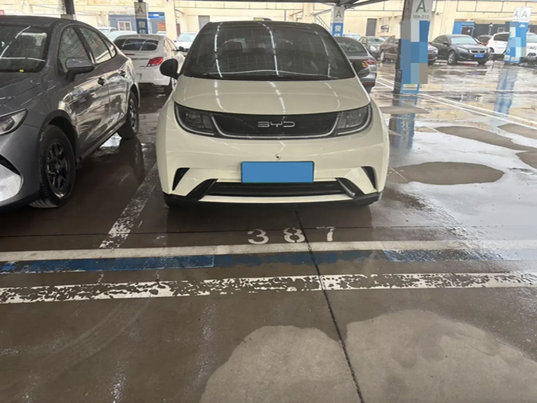 2021 BYD DOLPHIN thumbnail 2