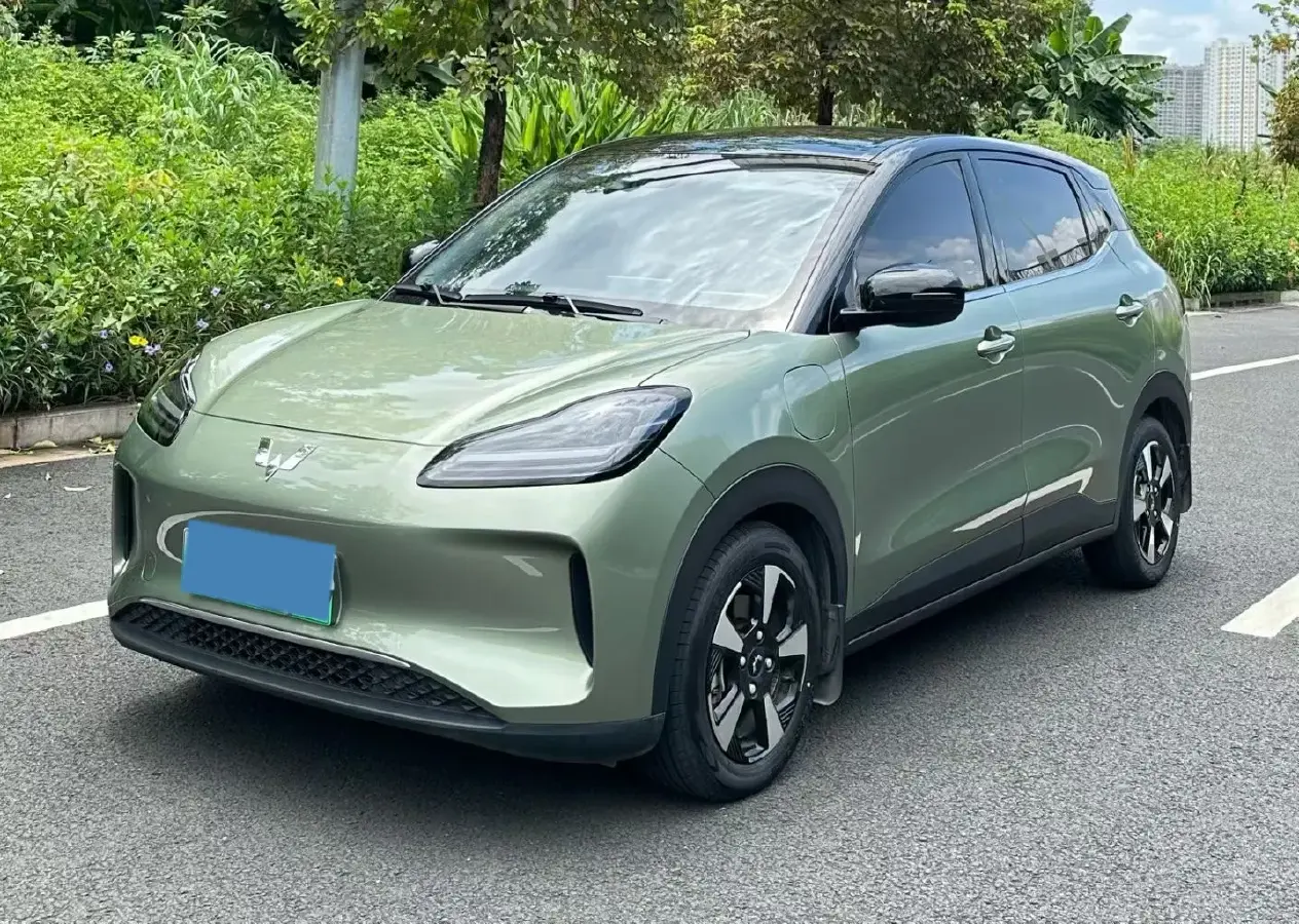 2024 WuLing BinGuoPLUS BEV 50.6KWH