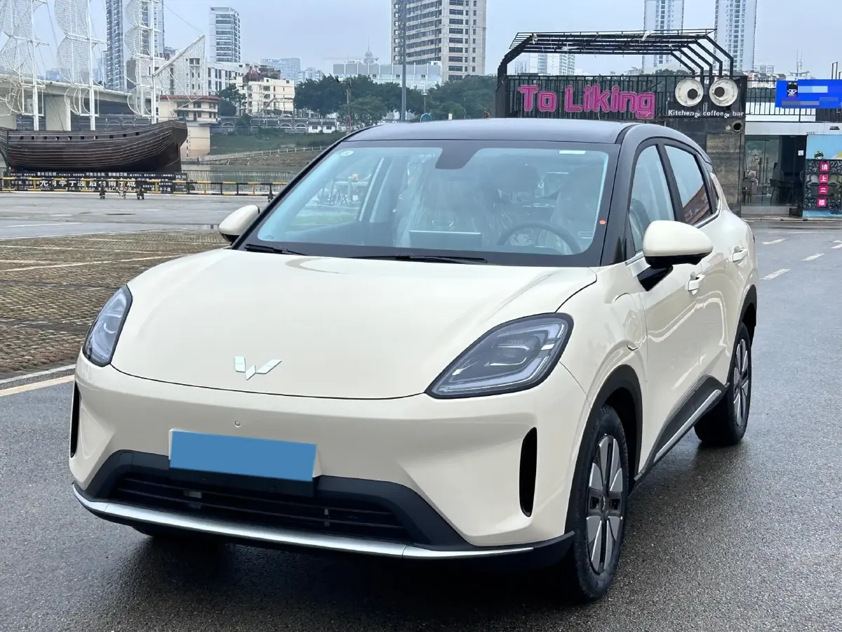 2025 WuLing BinGuo S BEV