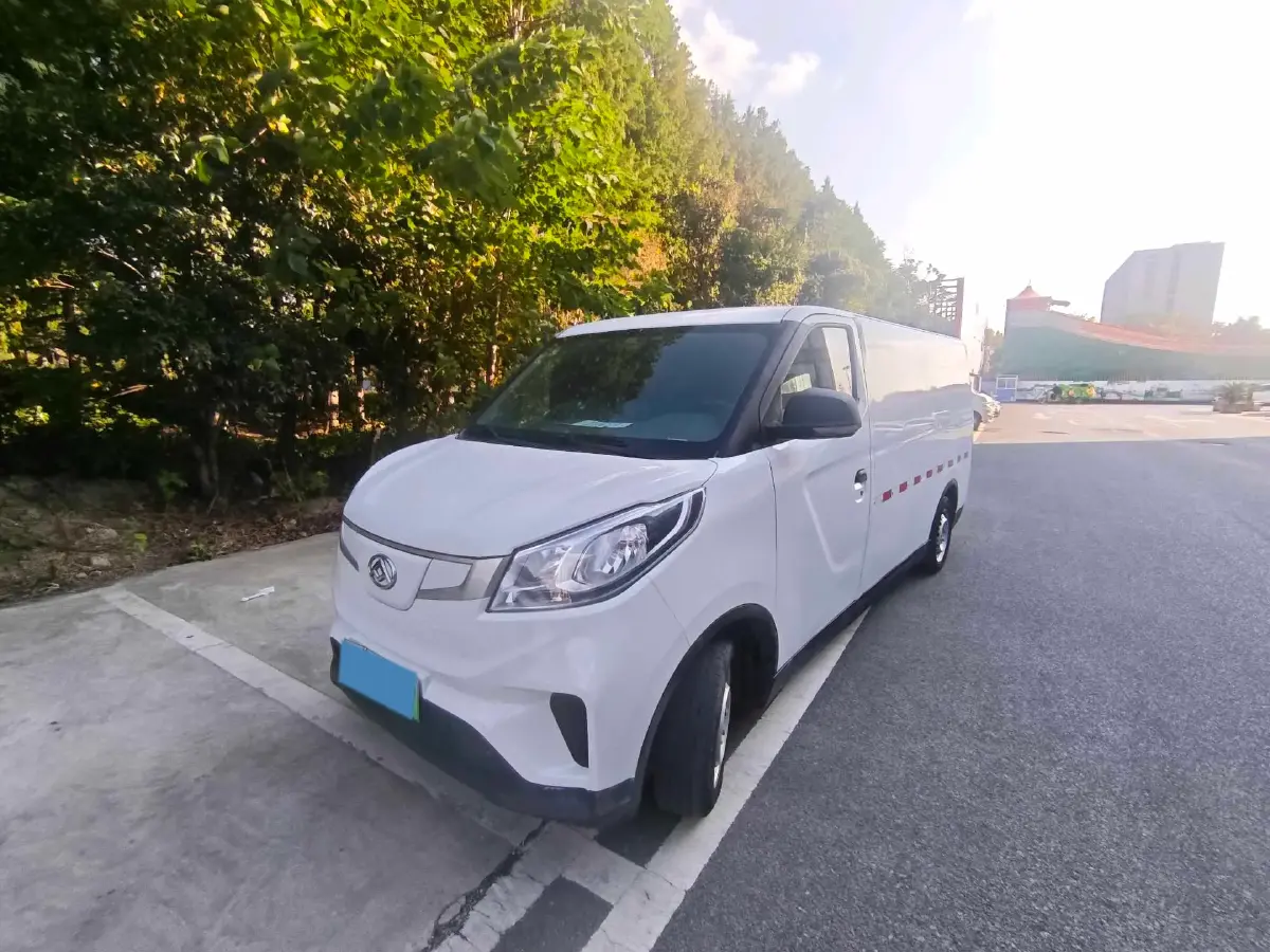 2021 MAXUS EV30 BEV 41.86KWH