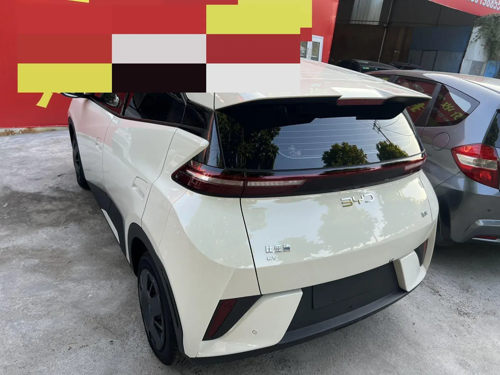 2025 BYD SEAGULL thumbnail 2