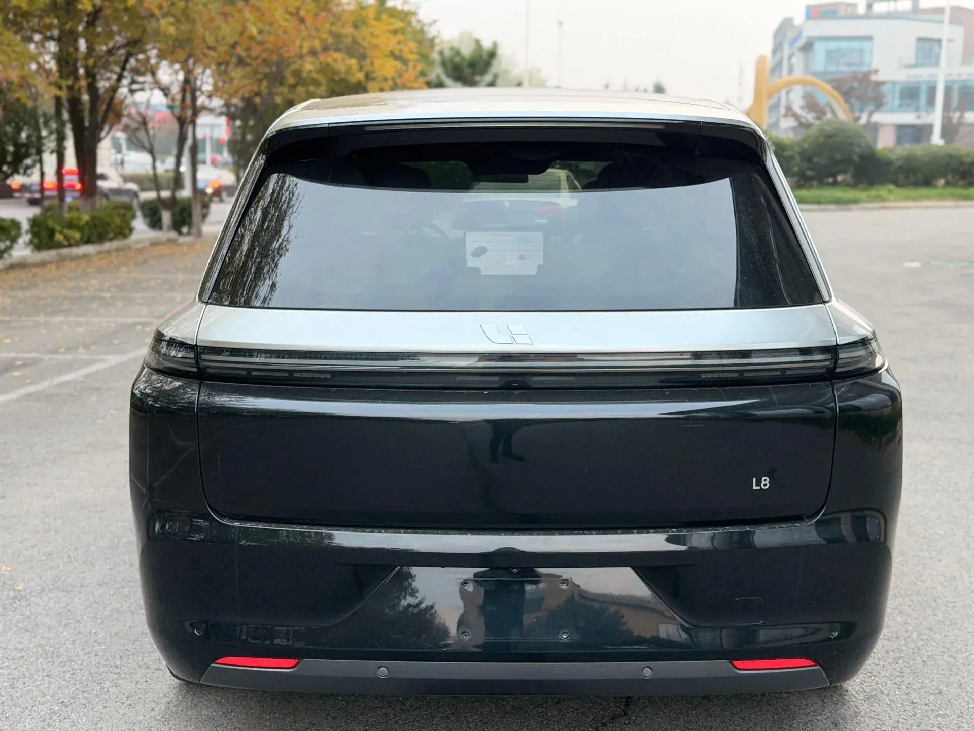 2023 LI L8 thumbnail 4
