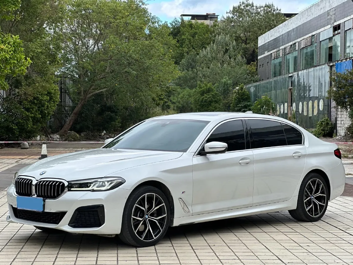 2022 BMW 5 Series 2.0T 184HP L4 8AT,autocango,china used car exporter,china ev exporter,chinese used car exporter,chinese used ev exporter