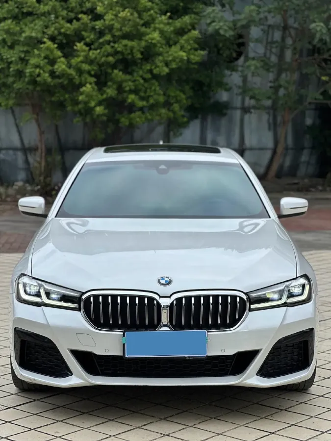2022 BMW 5 Series 2.0T 184HP L4 8AT,autocango,china used car exporter,china ev exporter,chinese used car exporter,chinese used ev exporter