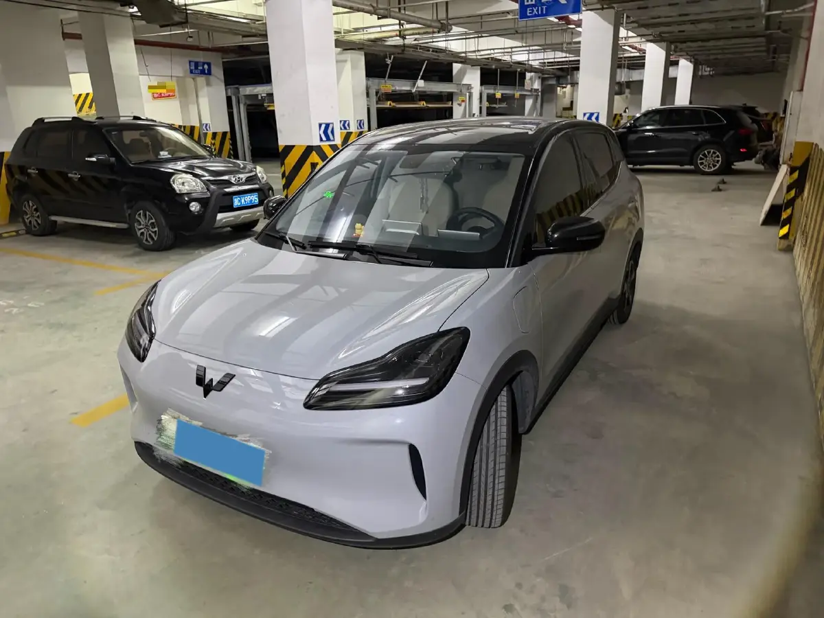 2024 WuLing BinGuoPLUS BEV 31.9KWH