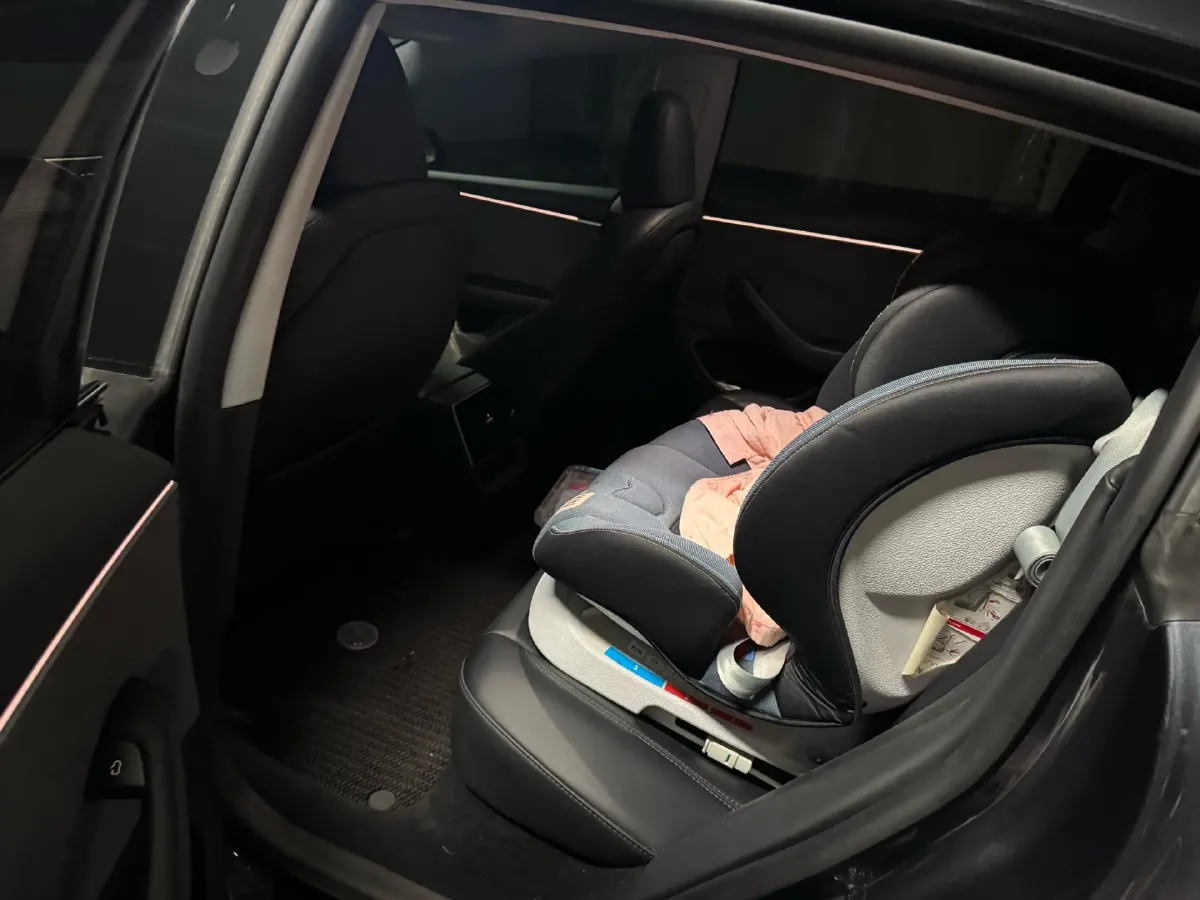 2023 Tesla Model 3 BEV 60KWH,autocango,china used car exporter,china ev exporter,chinese used car exporter,chinese used ev exporter