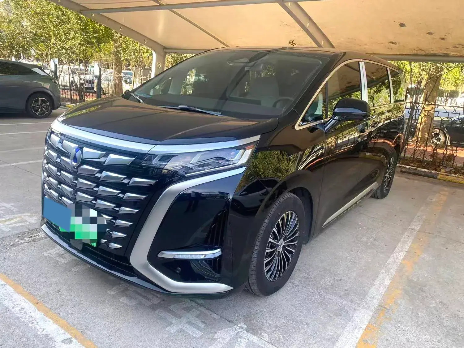 2024 DENZA D9 view 1