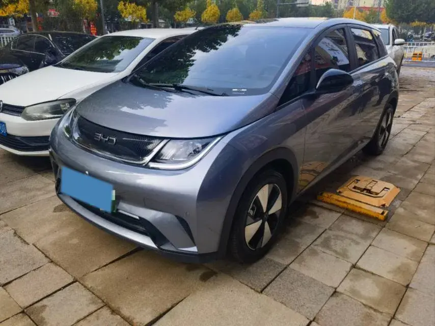 2023 BYD DOLPHIN view 1