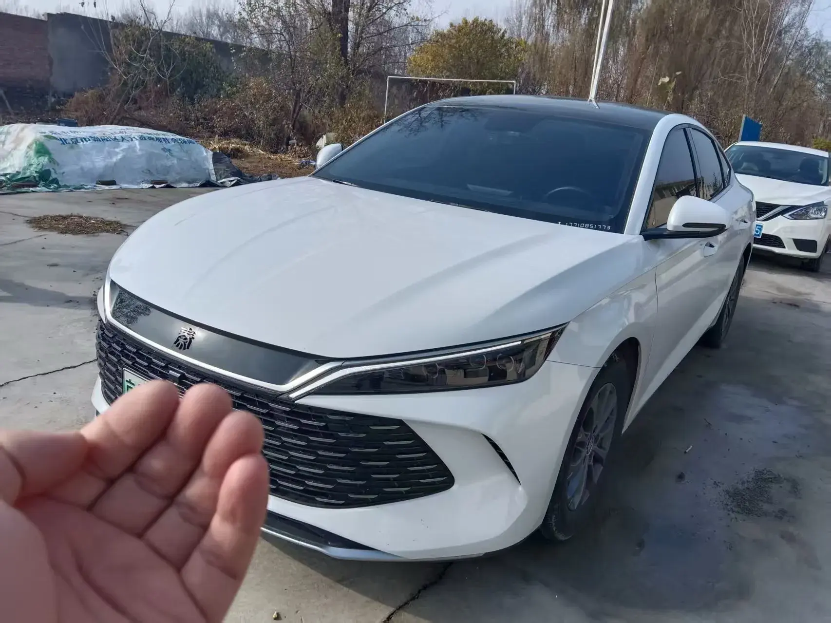 2024 BYD QINL view 1