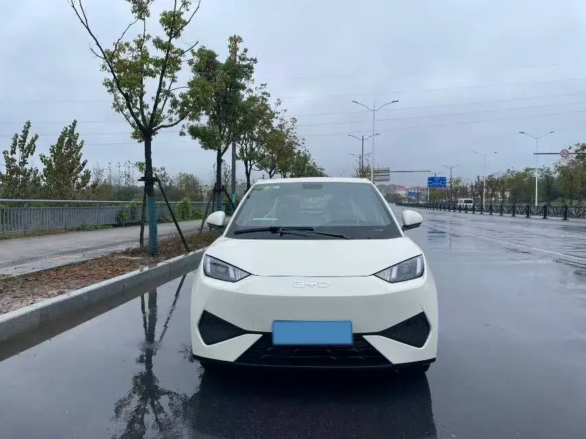 2025 BYD SEAGULL thumbnail 3