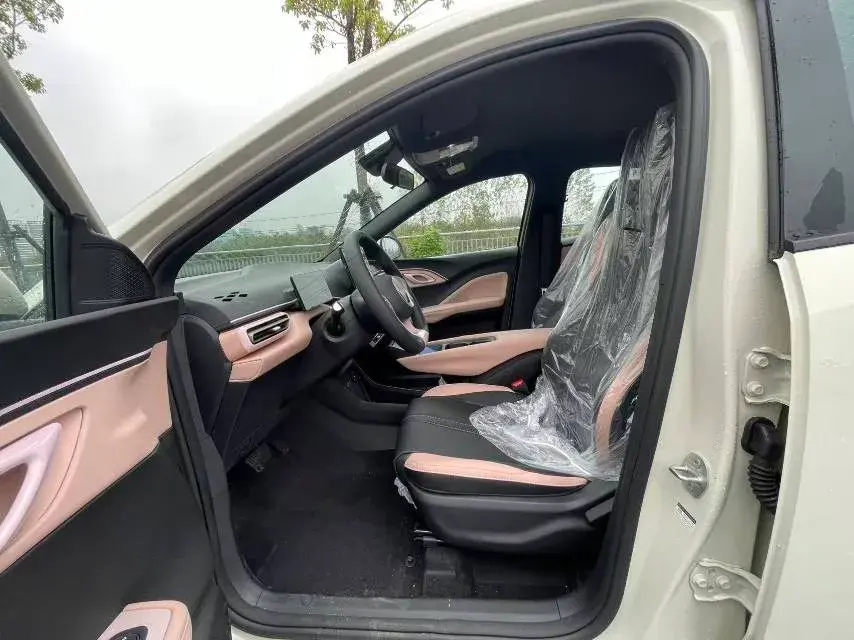 2025 BYD SEAGULL thumbnail 4