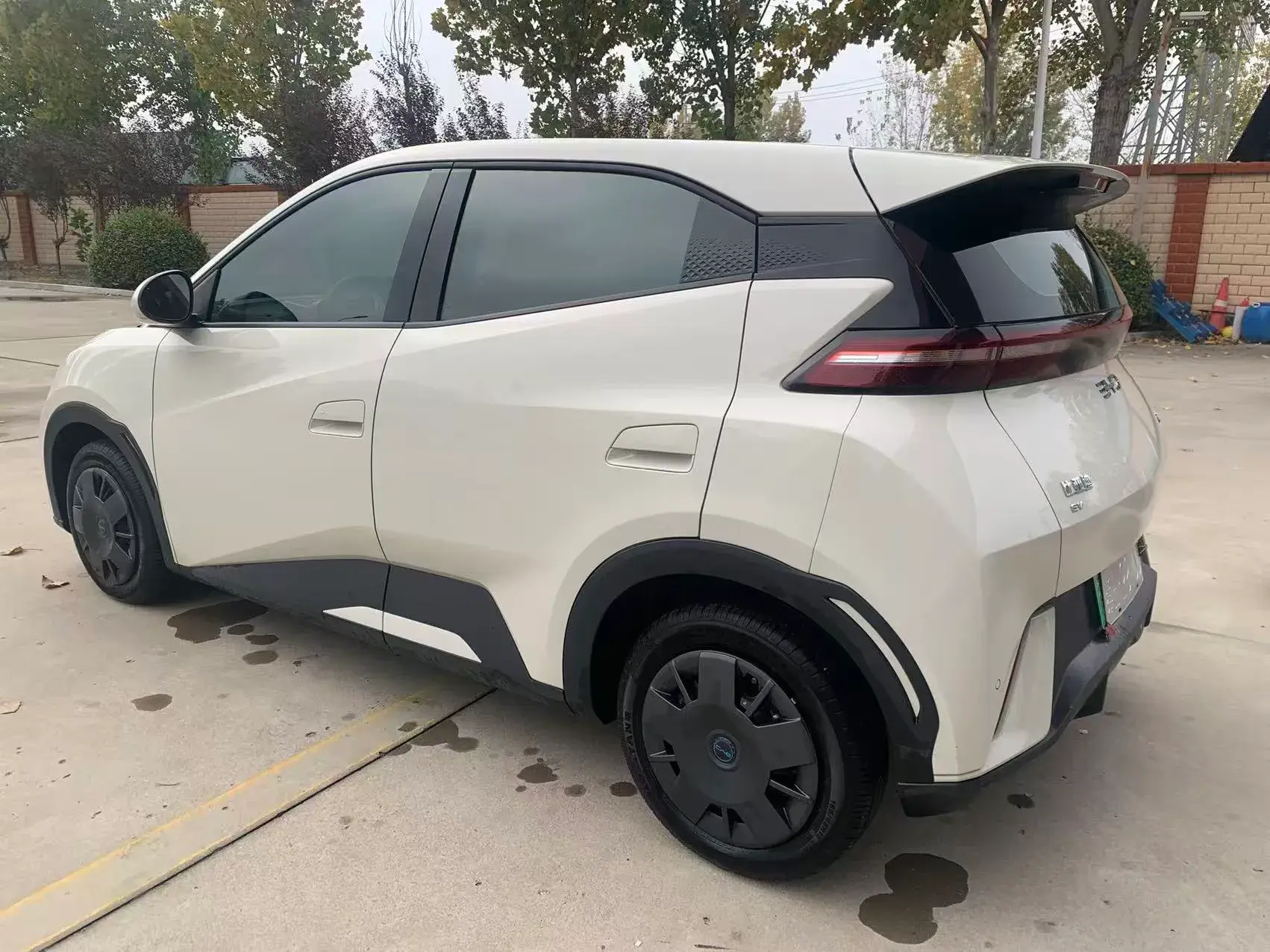 2025 BYD SEAGULL thumbnail 4