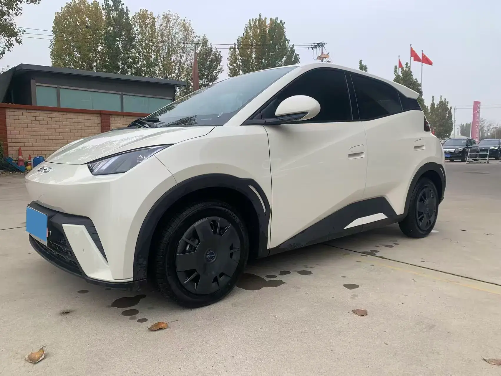 2025 BYD SEAGULL view 1