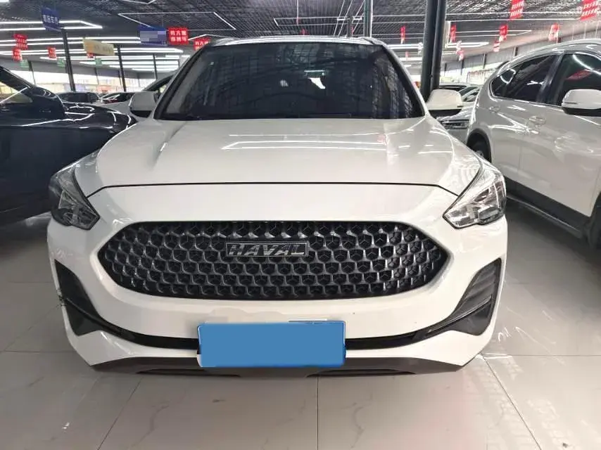 2019 HAVAL M6 thumbnail 2
