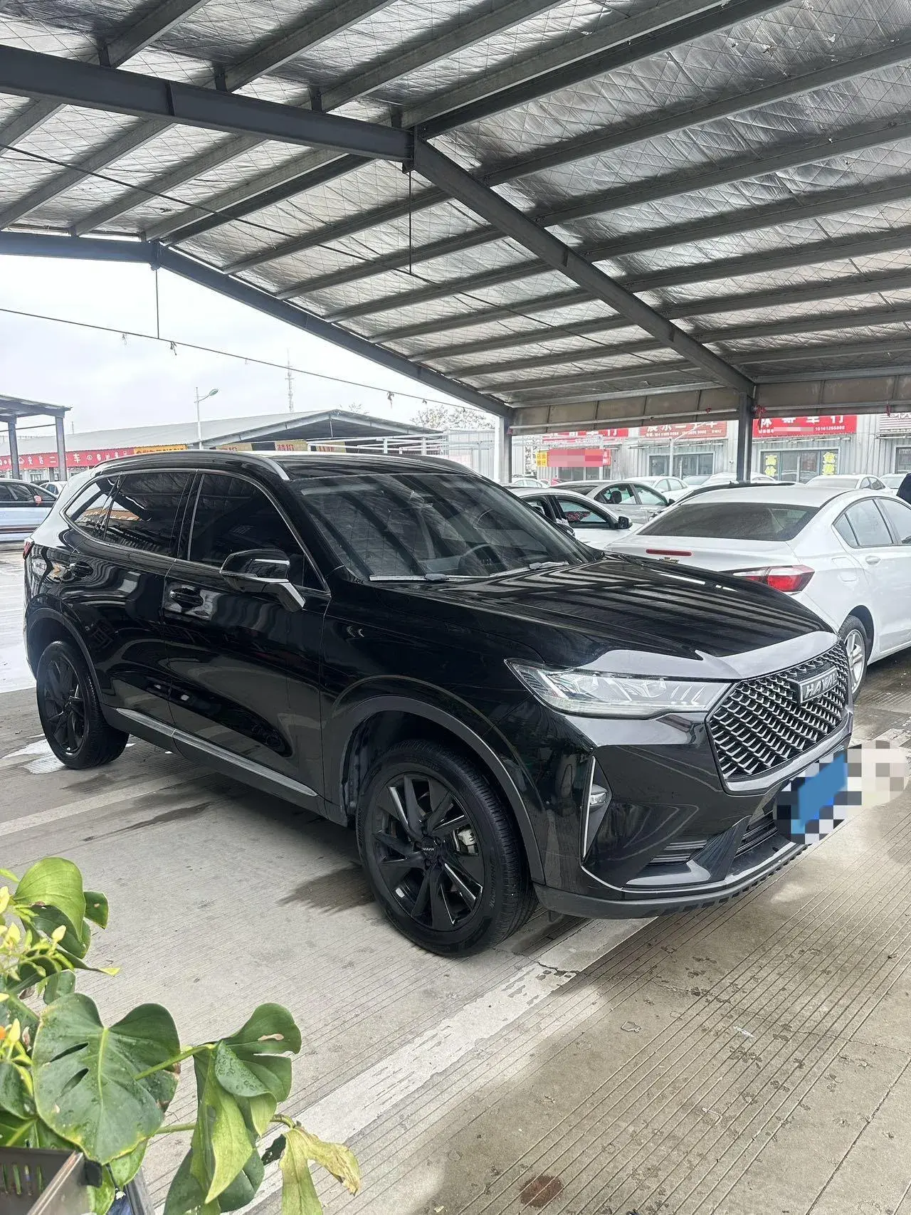 2021 HAVAL H6 thumbnail 3