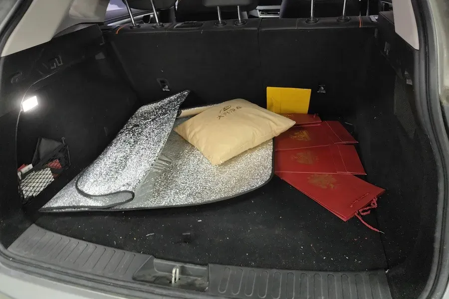 2021 WEY Macchiato 1.5L 97HP L4 2DHT PHEV 19.94KWH,autocango,china used car exporter,china ev exporter,chinese used car exporter,chinese used ev exporter