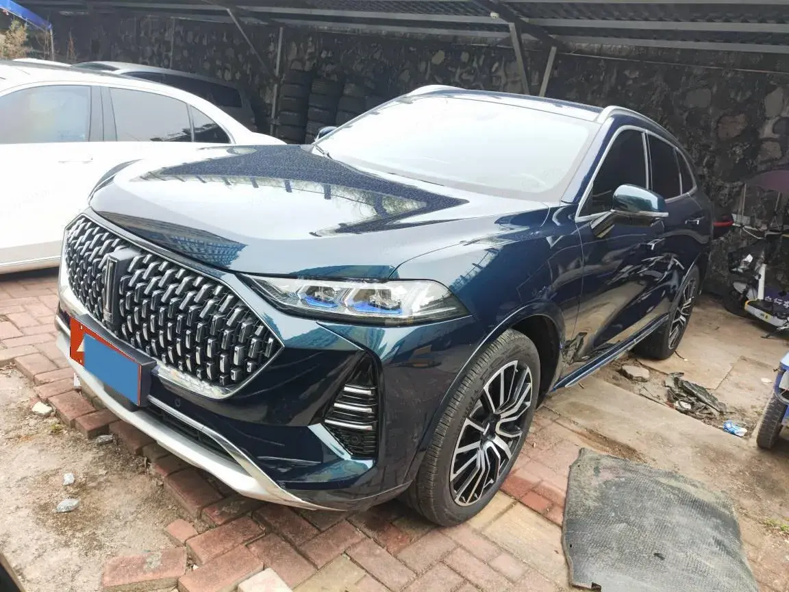 2021 WEY Mocha 2.0T 214HP L4 9DCT