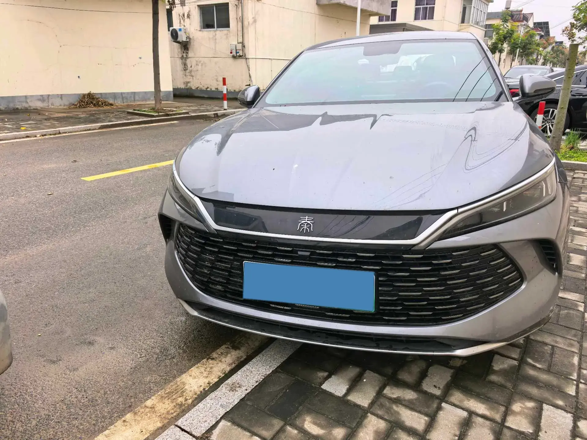 2024 BYD QINL thumbnail 2