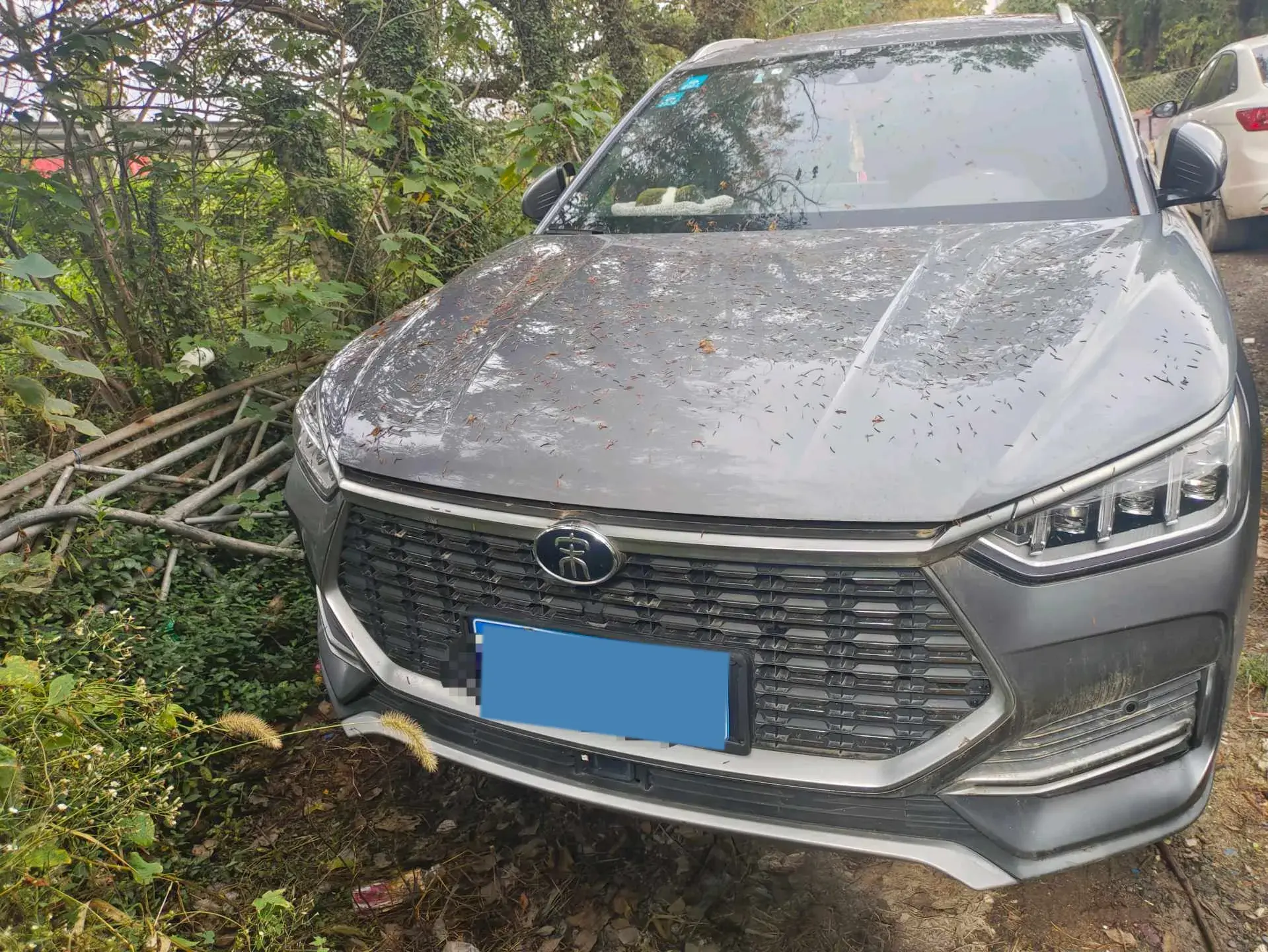 2020 BYD SONG thumbnail 2