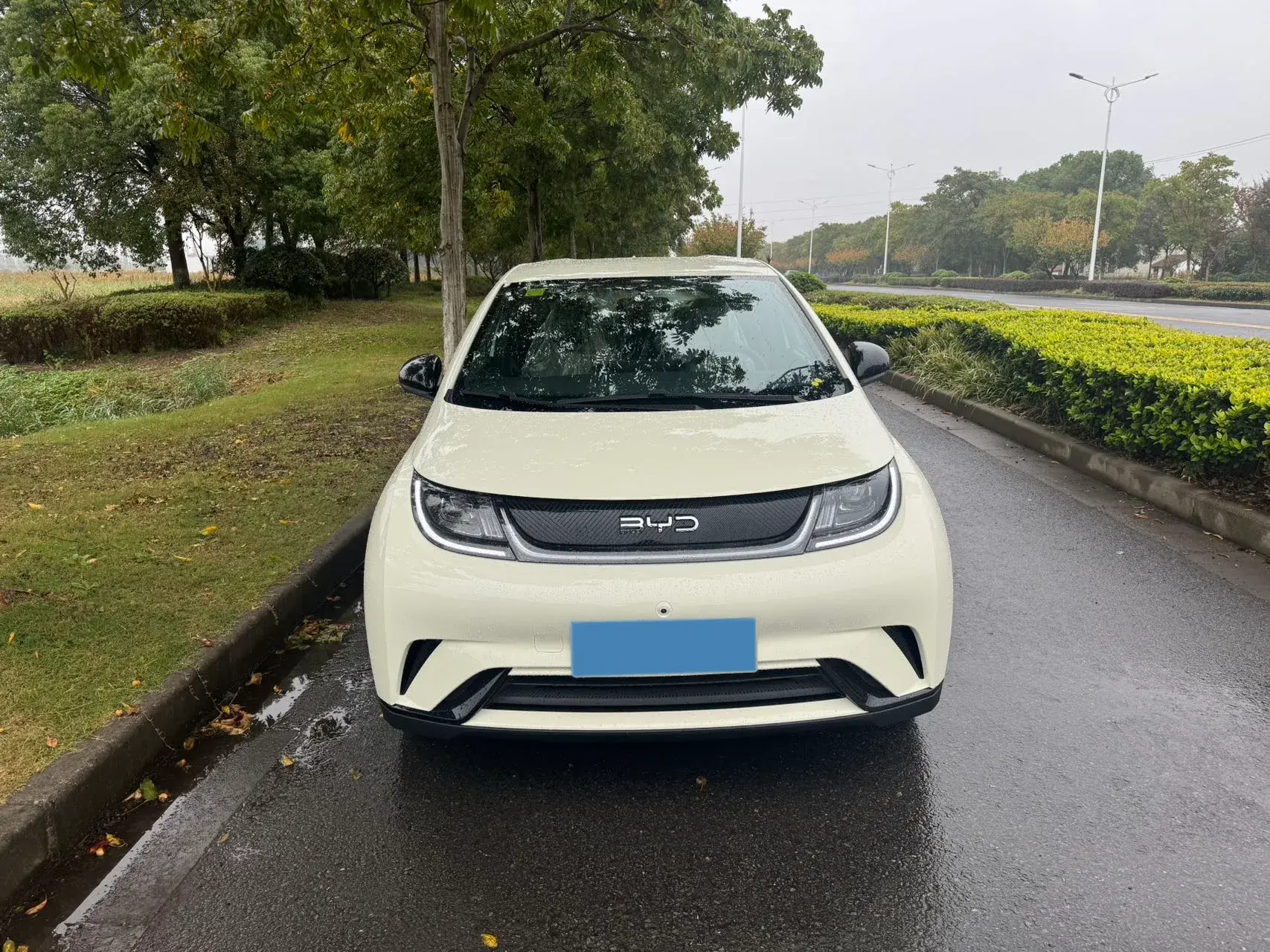 2025 BYD DOLPHIN thumbnail 2