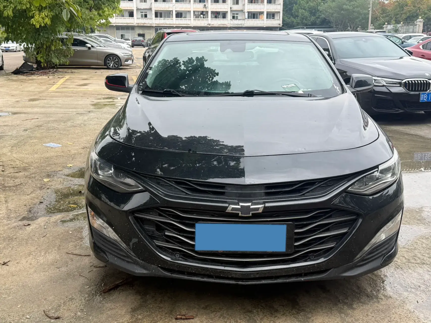 2019 CHEVROLET MALIBU thumbnail 2