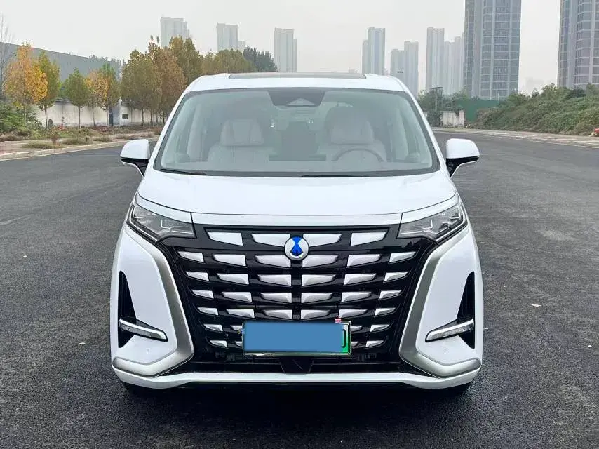 2022 DENZA D9 thumbnail 2