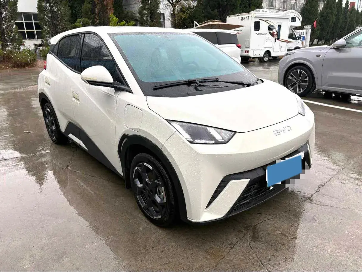 2025 BYD SEAGULL thumbnail 3