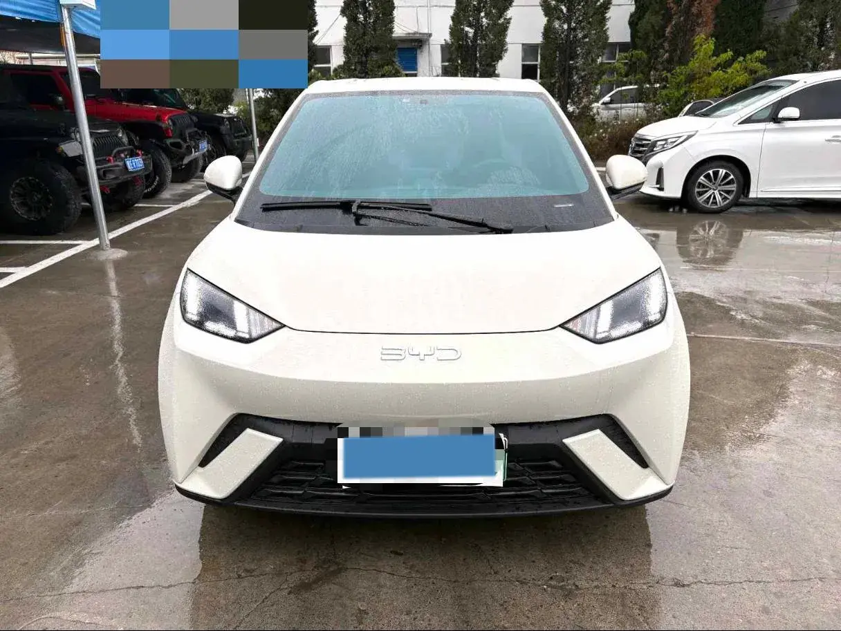 2025 BYD SEAGULL thumbnail 2