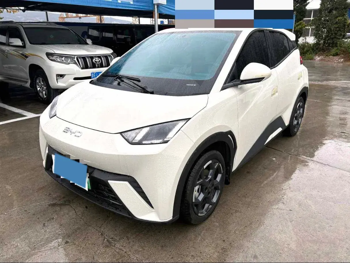 2025 BYD SEAGULL view 1