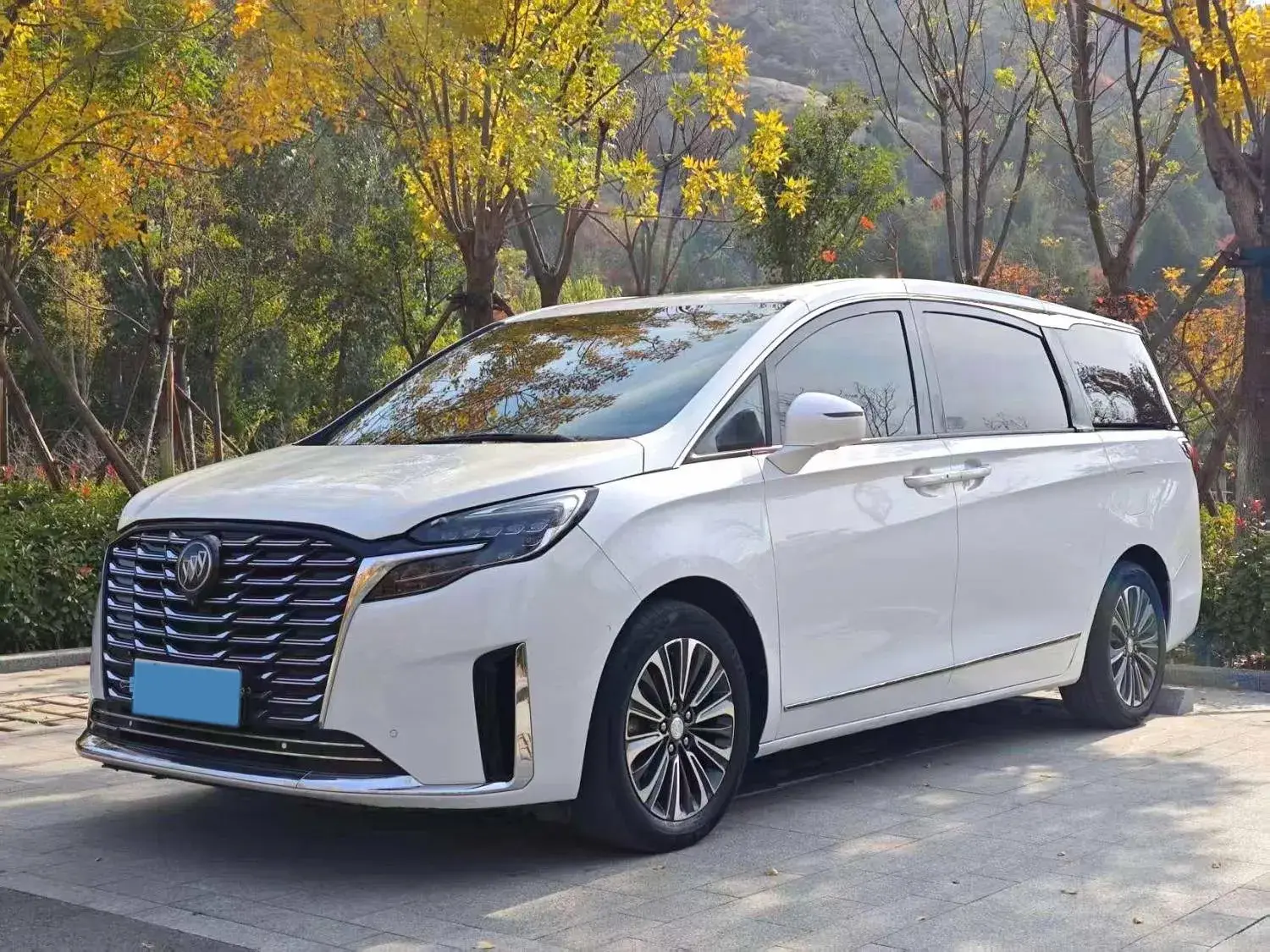 2021 BUICK GL8 view 1