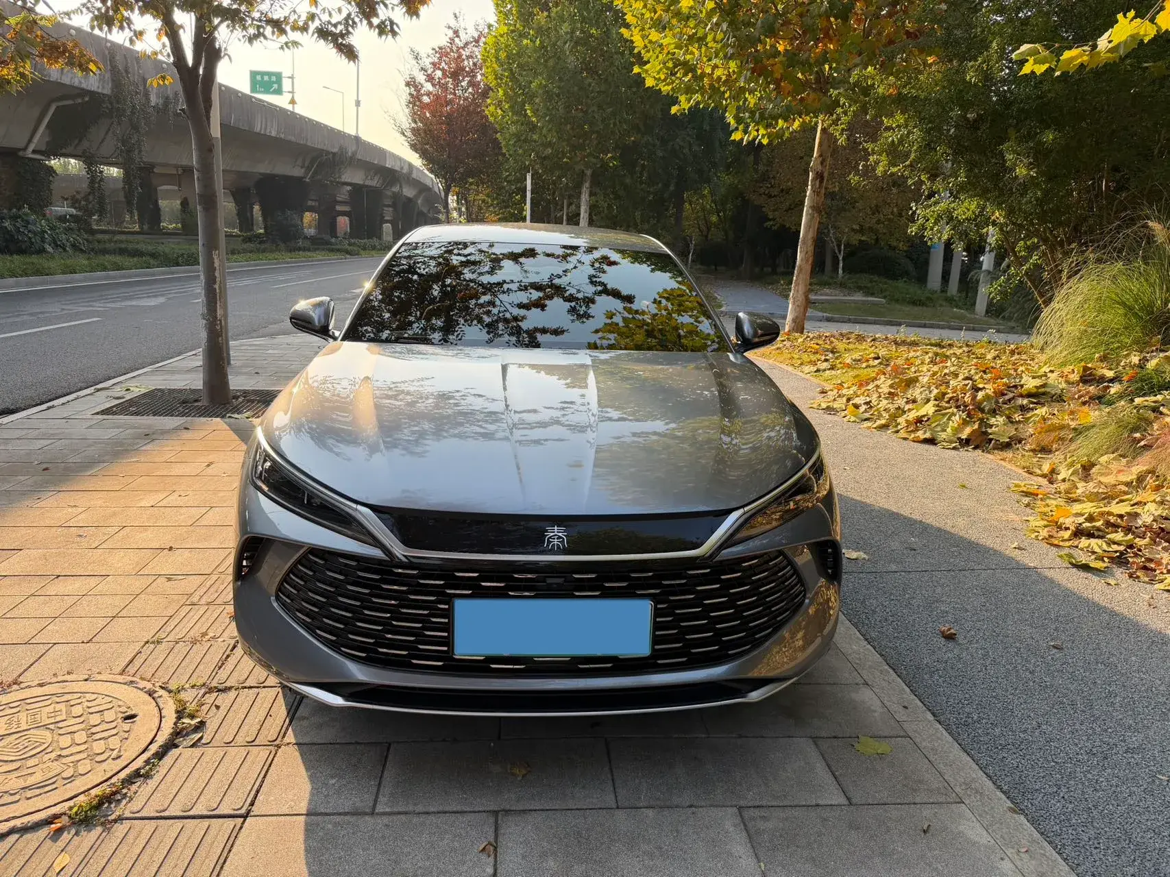 2024 BYD QINL thumbnail 2