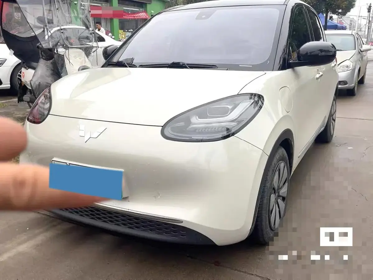 2024 WuLing BinGuo BEV 31.9KWH