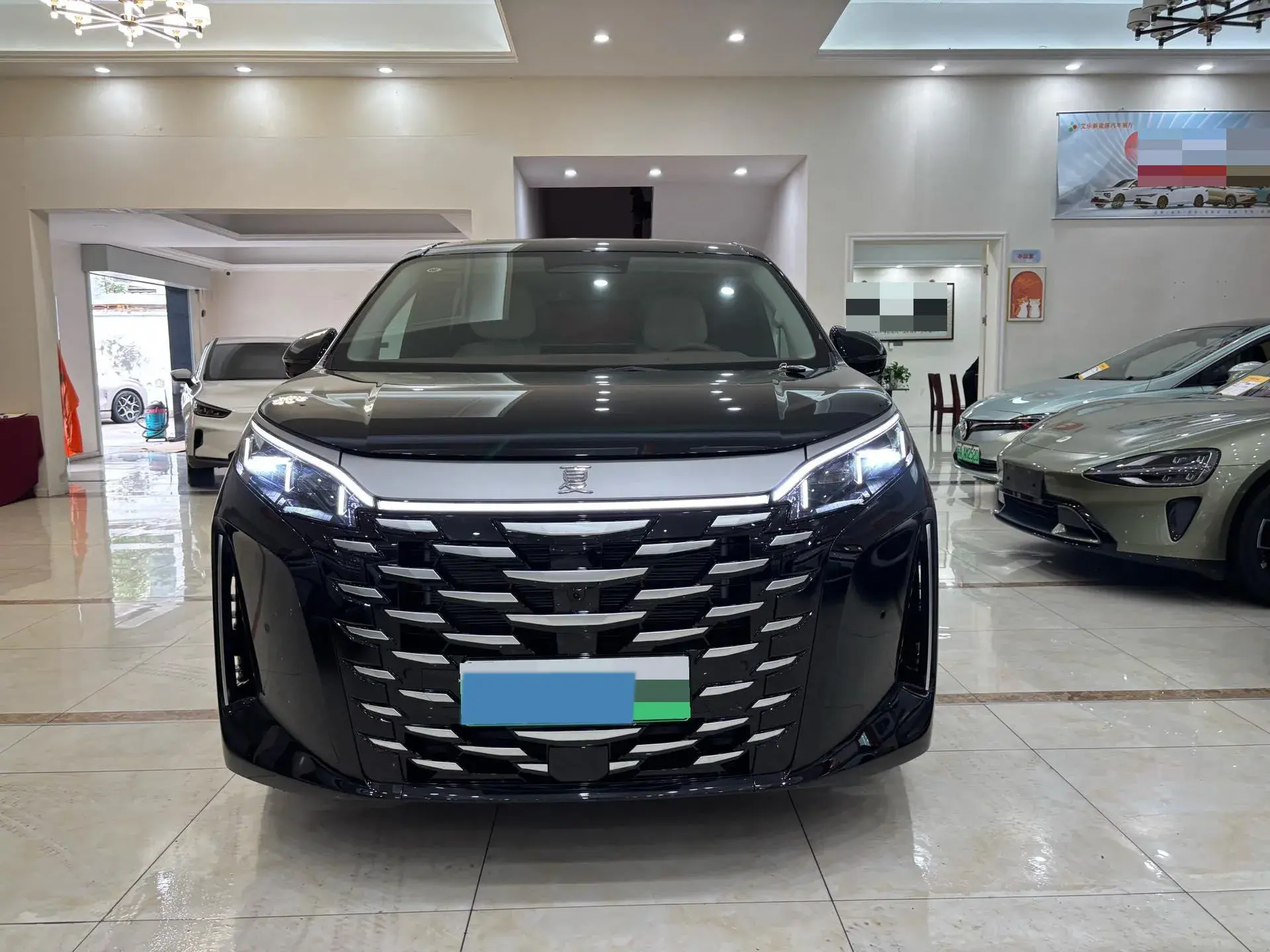 2025 BYD XIA thumbnail 2