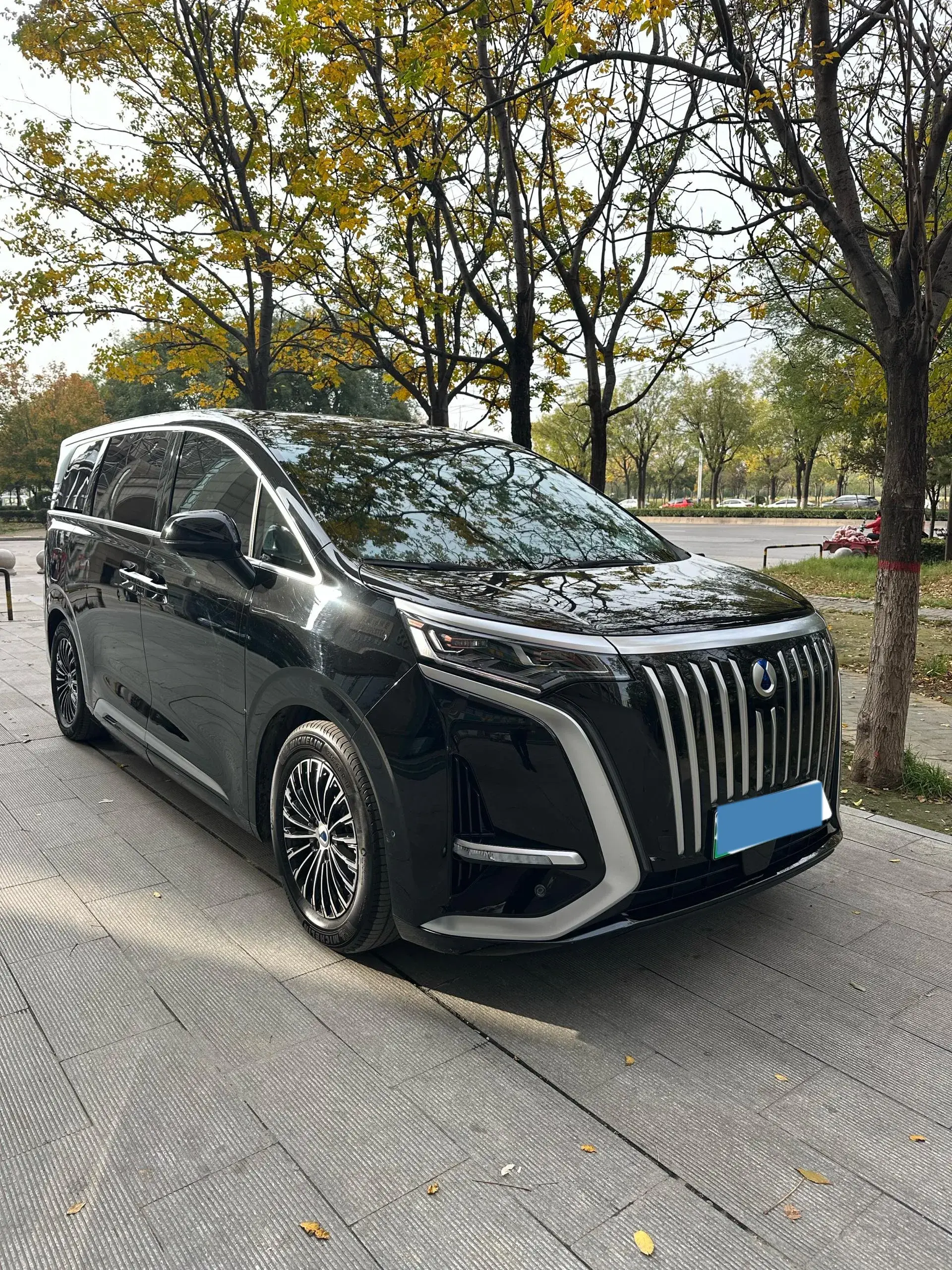 2022 DENZA D9 thumbnail 3