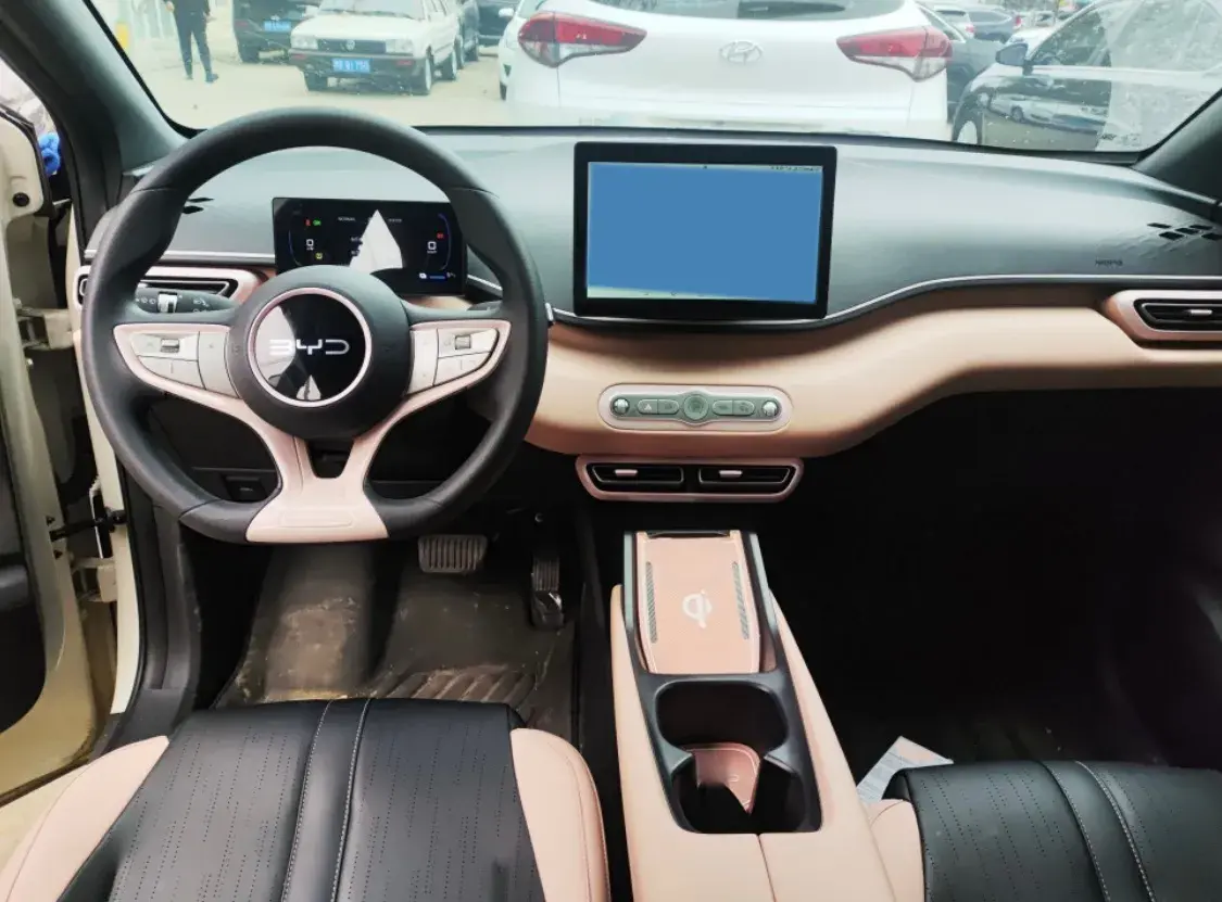 2025 BYD SEAGULL thumbnail 2