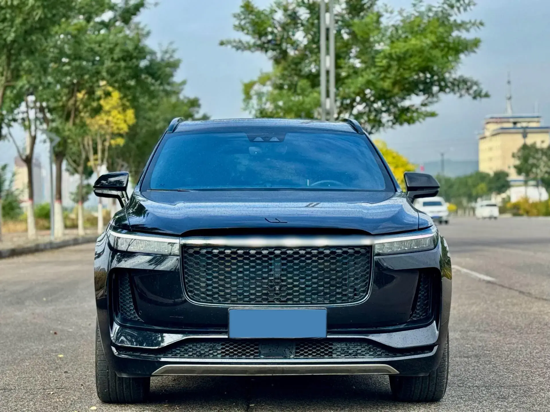 2020 LI ONE thumbnail 2