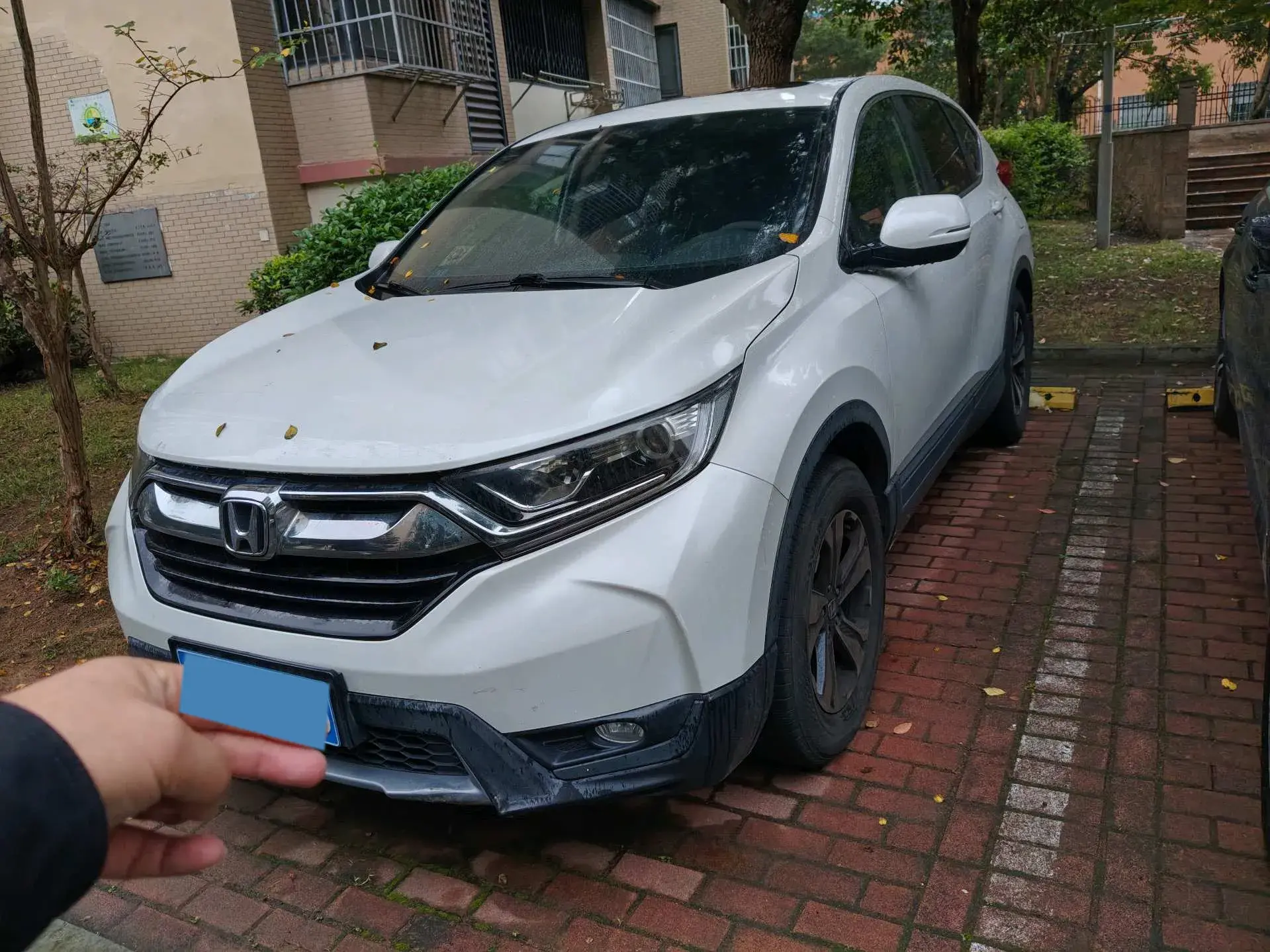 2019 HONDA CR-V view 1