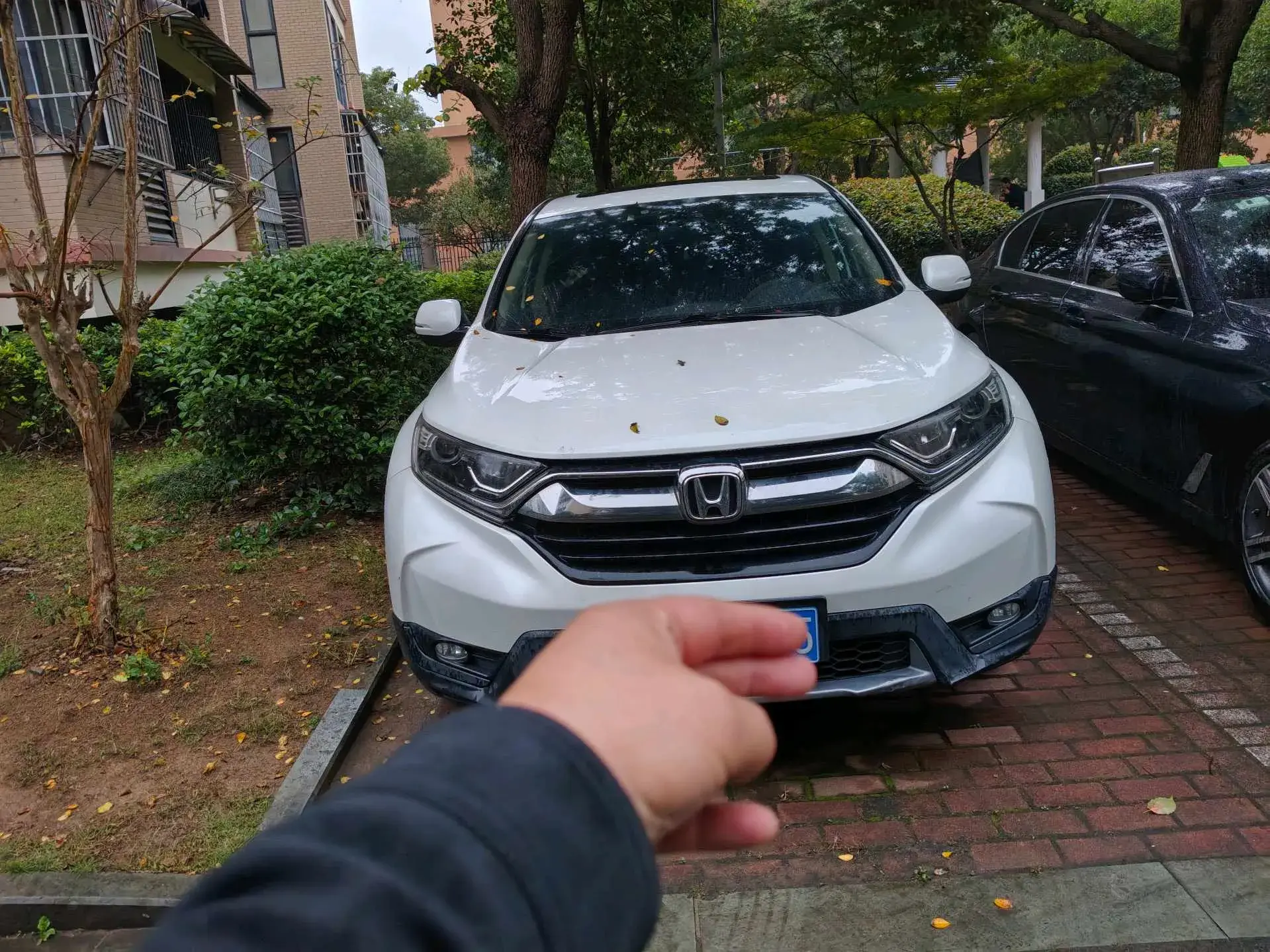 2019 HONDA CR-V thumbnail 3