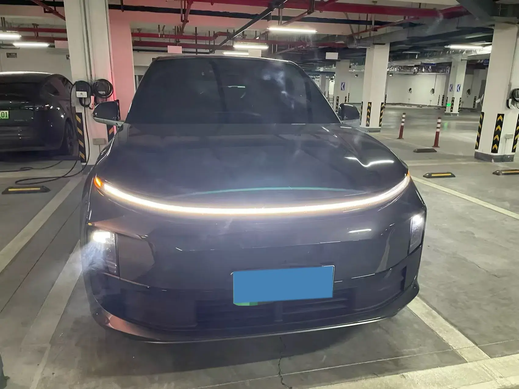 2024 LI L6 thumbnail 2